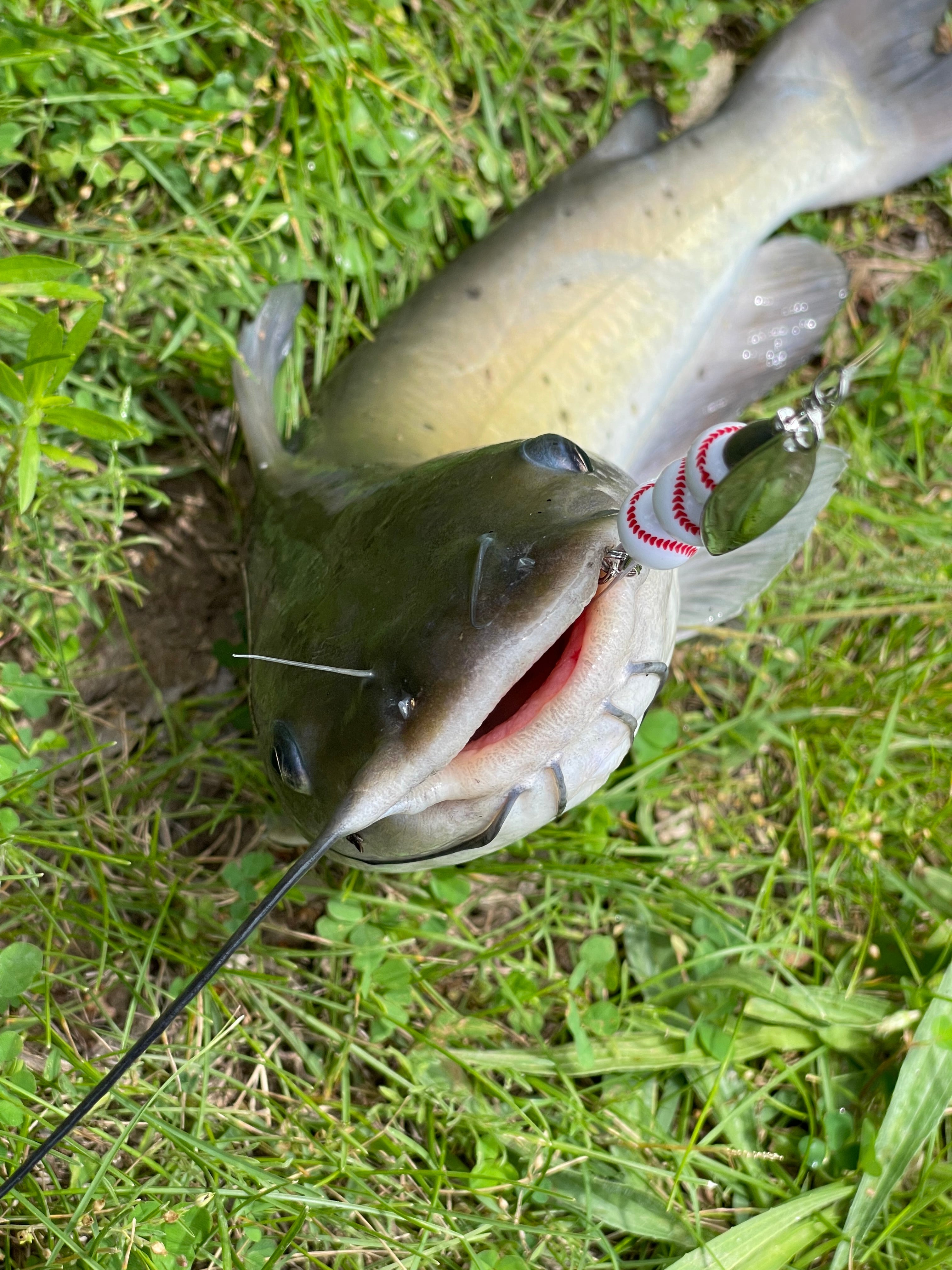 Catfish Fishing Spinner: Fishing Lures | Custom Bait and Lure