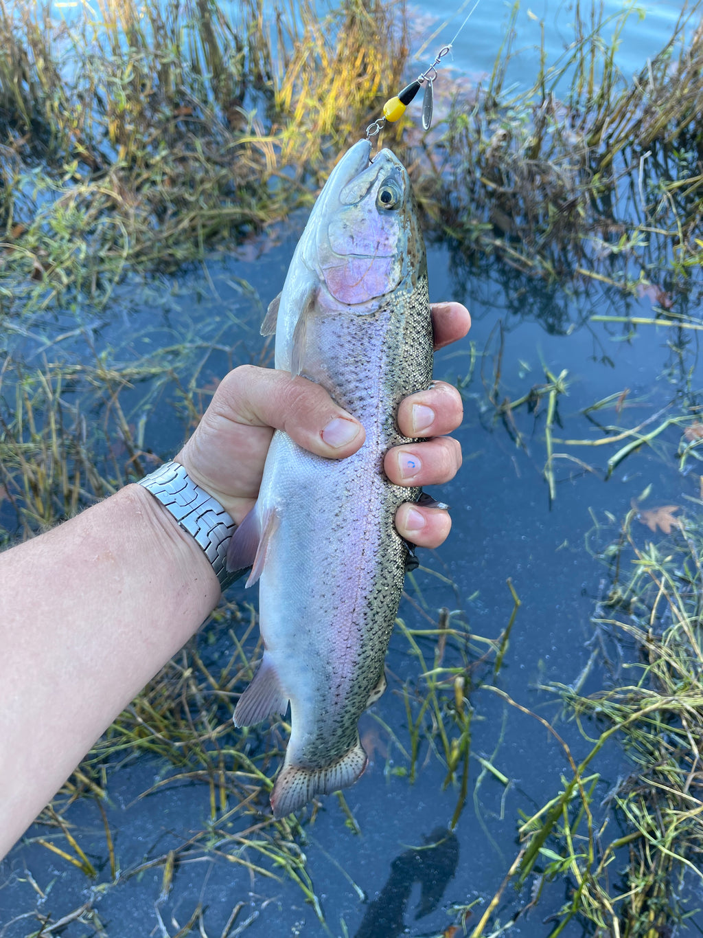 Premium Fishing Lures: The Corn Lure | Custom Bait and Lure